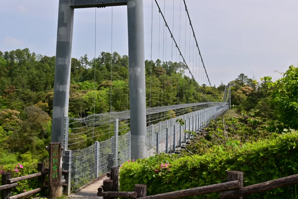 静岡県立森林公園内にある空の散歩道を撮影した写真