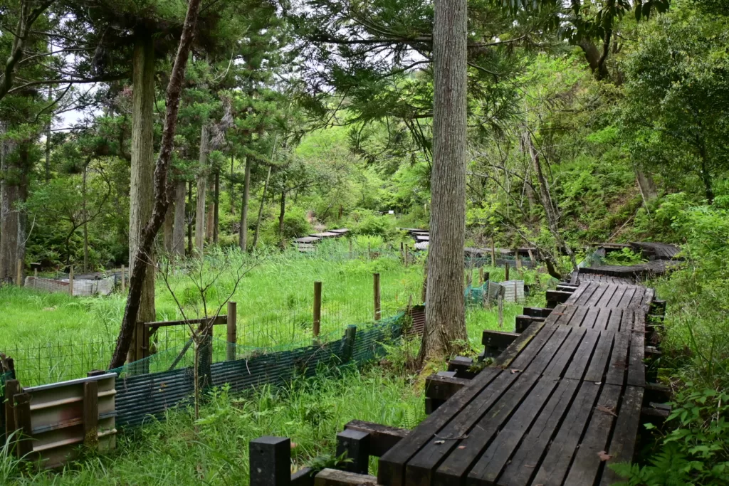 静岡県立森林公園内の三番池湿地を撮影した写真